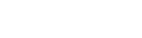 Trader AI